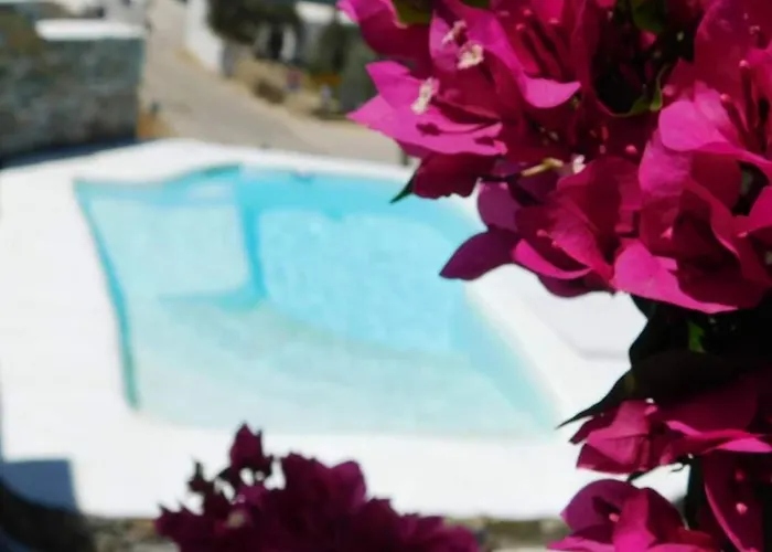 Venereum アパート *