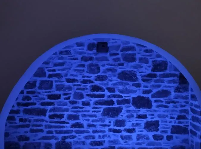 Venereum アパート